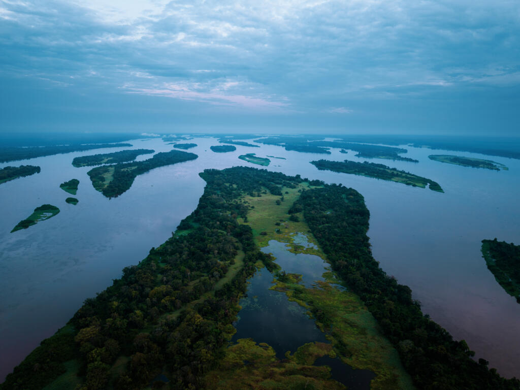 Dense tropical rainforest in the Congo Basin